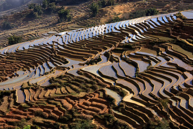 Terrazas de arroz irrigadas en el condado de Yuányáng, en la provincia china de Yunnan.